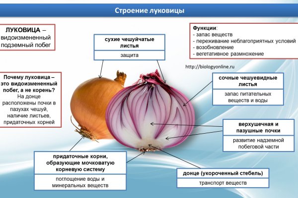 Kraken оригинальная ссылка