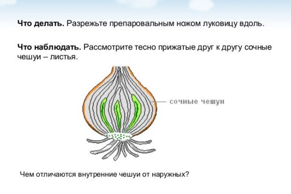 Кракен сайт в тор браузере