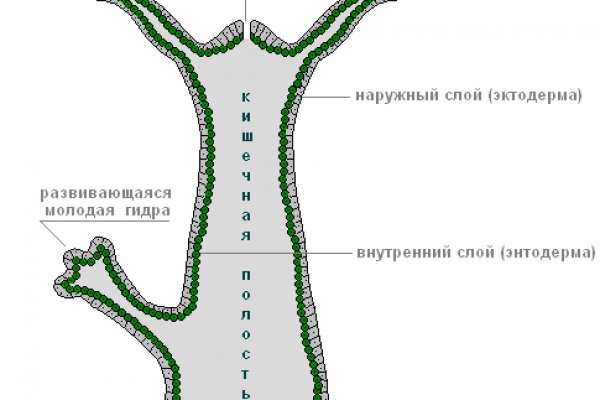 Кракен маркет тор